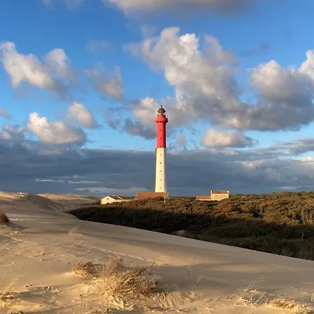 Le Petit Chai Classé De Tourisme 3 étoiles Hyper Centre La Tremblade